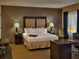 Single King Room at Hampton Inn and Suites Decatur